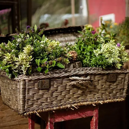 Kwatera prywatna Gabis Kleine Spezerey Gries