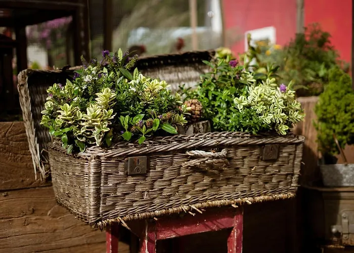 Alloggio in famiglia Gabis Kleine Spezerey Gries