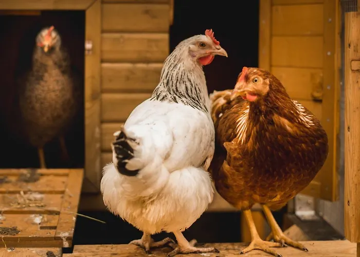 Alloggio in famiglia Gabis Kleine Spezerey